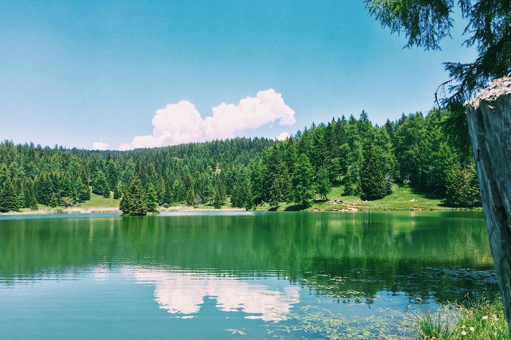 Berggasthof Pension Pfitscher Unsere Liebe Frau im Walde Extérieur photo